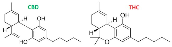 PMC11945290 – pharmaceutics-17-00328-f001