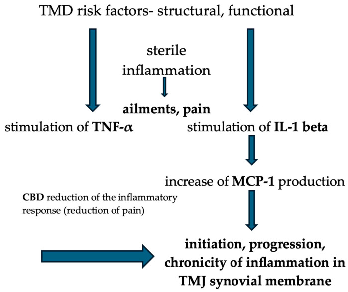 PMC11945290 – pharmaceutics-17-00328-f003