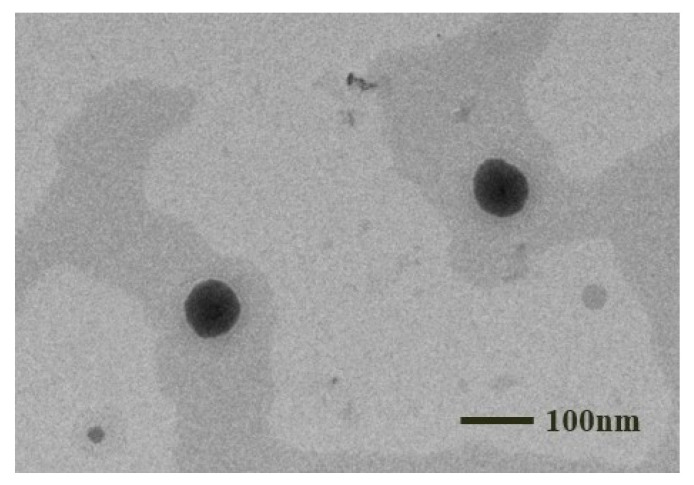 PMC11944824 – pharmaceutics-17-00340-f006