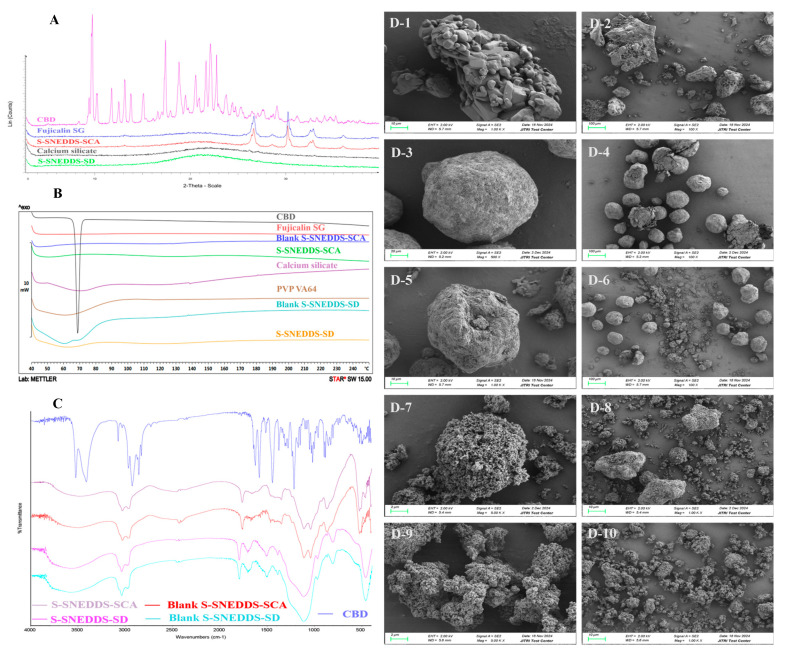 PMC11944824 – pharmaceutics-17-00340-f010