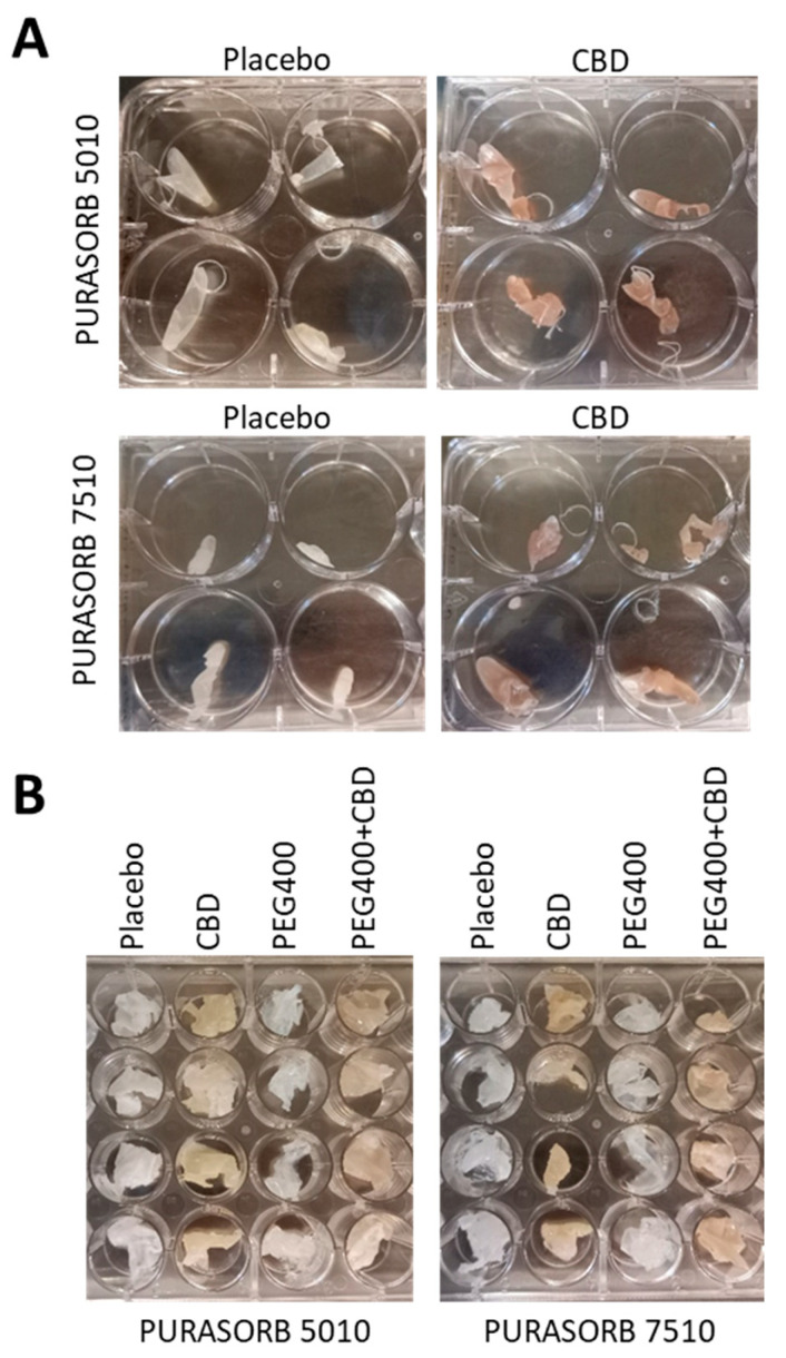PMC12030335 – pharmaceutics-17-00463-f001