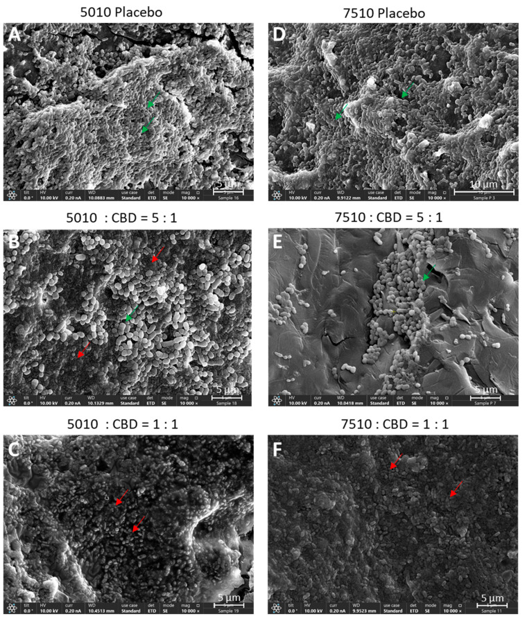 PMC12030335 – pharmaceutics-17-00463-f003