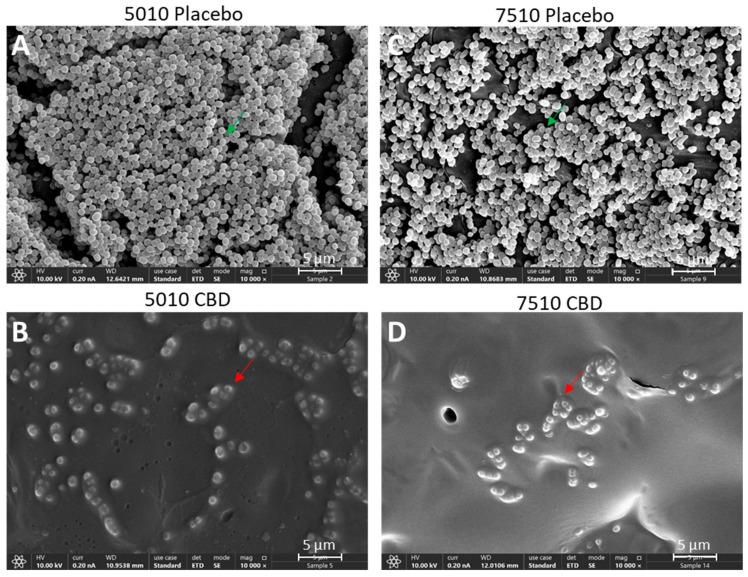 PMC12030335 – pharmaceutics-17-00463-f005