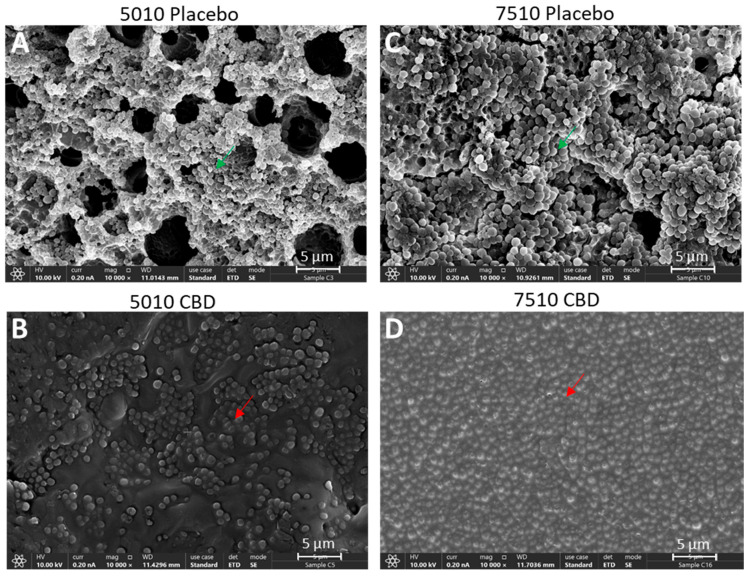 PMC12030335 – pharmaceutics-17-00463-f007
