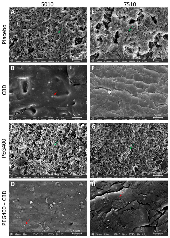 PMC12030335 – pharmaceutics-17-00463-f012