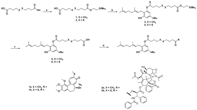 PMC12114796 – pharmaceutics-17-00636-sch001