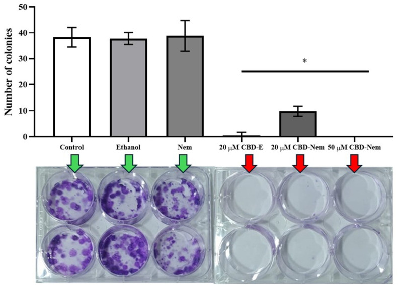 PMC12389271 – pharmaceutics-17-00970-f007