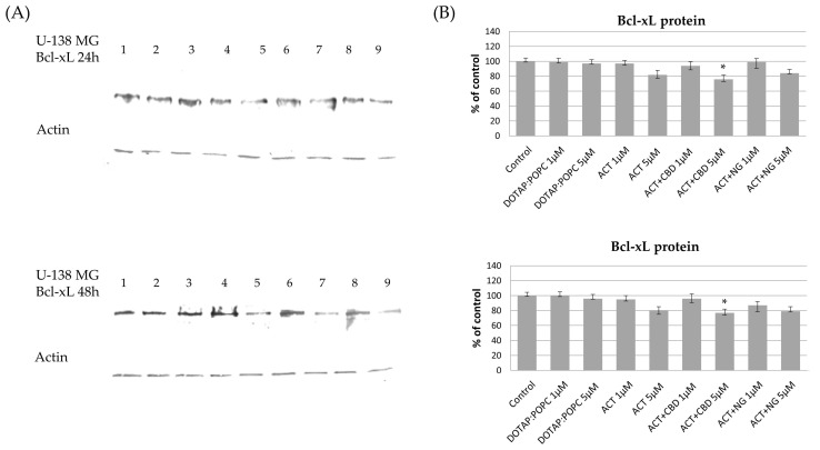 PMC12388996 – pharmaceutics-17-01026-f013