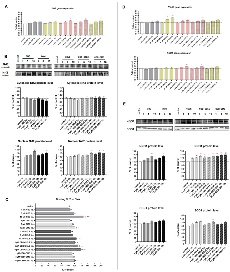 PMC12389746 – pharmaceutics-17-01031-f005