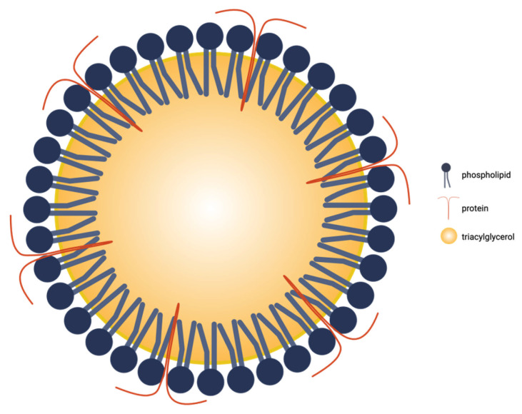 PMC12566702 – pharmaceutics-17-01303-f001