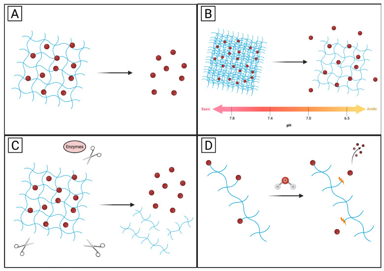PMC12845425 – pharmaceutics-18-00074-f003