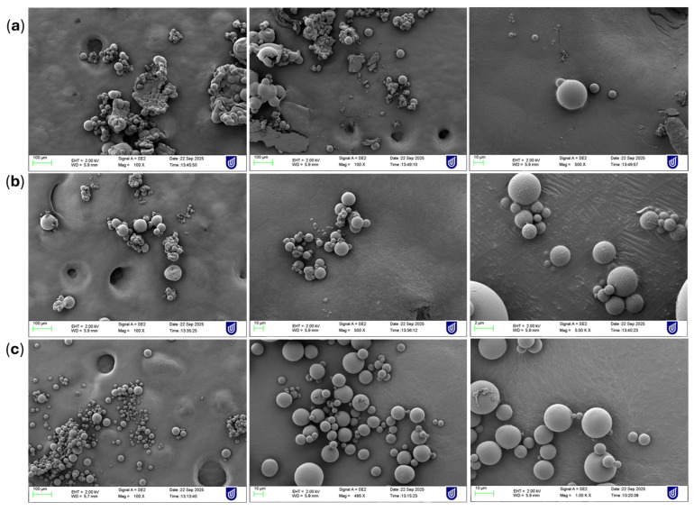 PMC13030583 – pharmaceutics-18-00336-f004