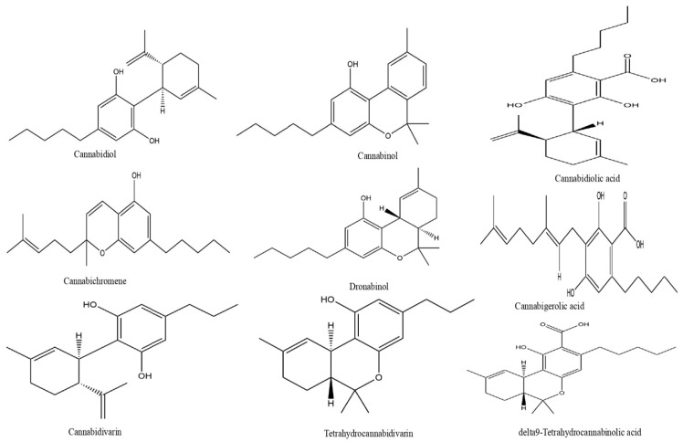 PMC13118513 – pharmaceutics-18-00469-f001