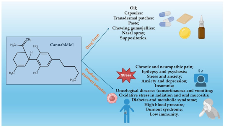 PMC11676264 – pharmacy-12-00176-f002