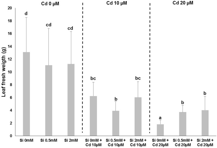 PMC5620593 – plants-06-00037-f003