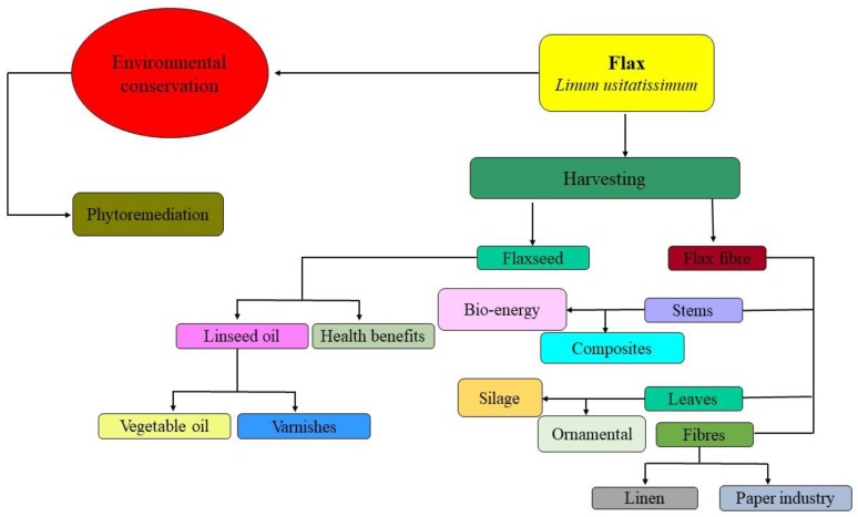 PMC7238412 – plants-09-00496-f004