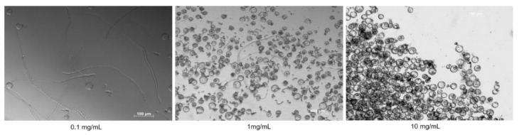 PMC7284845 – plants-09-00665-f002