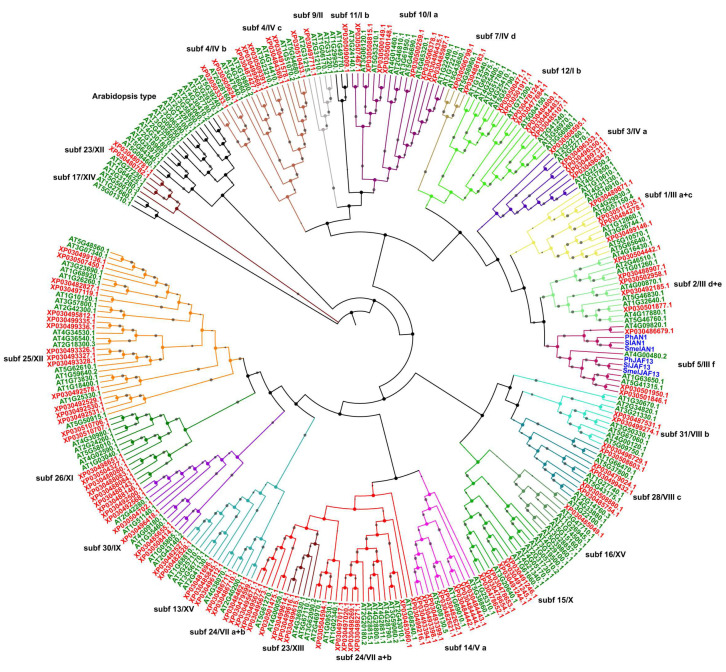 PMC7697600 – plants-09-01540-f001