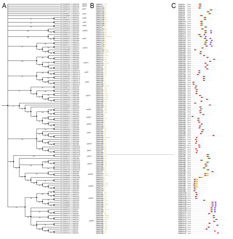 PMC7697600 – plants-09-01540-f002