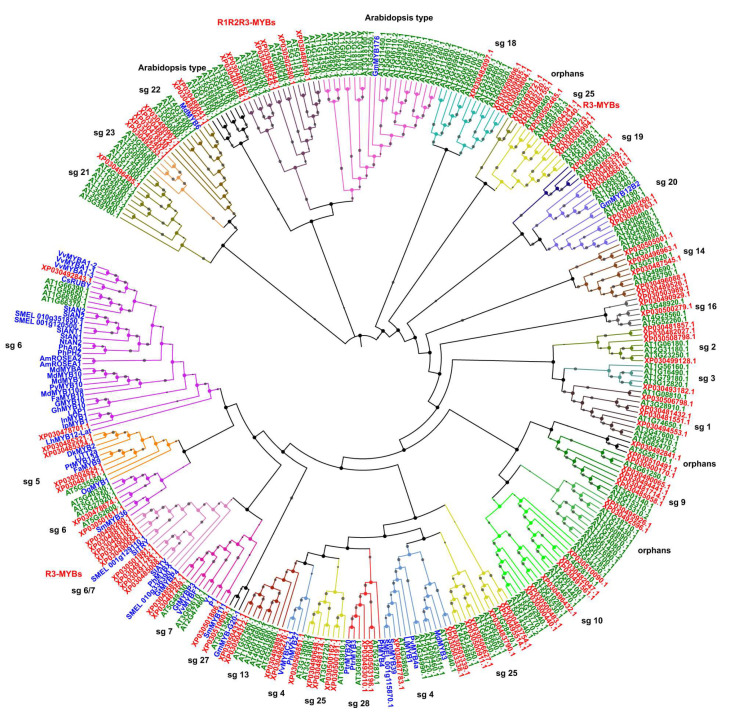 PMC7697600 – plants-09-01540-f004
