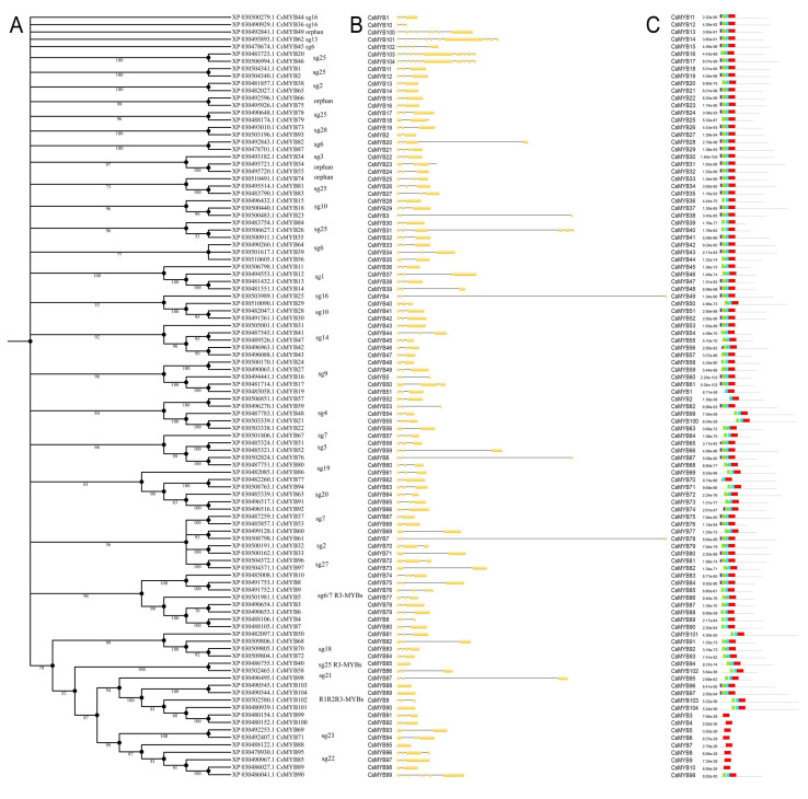 PMC7697600 – plants-09-01540-f005