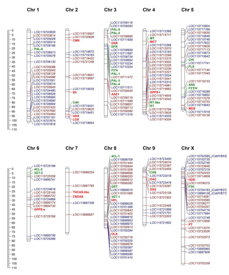 PMC7697600 – plants-09-01540-f007