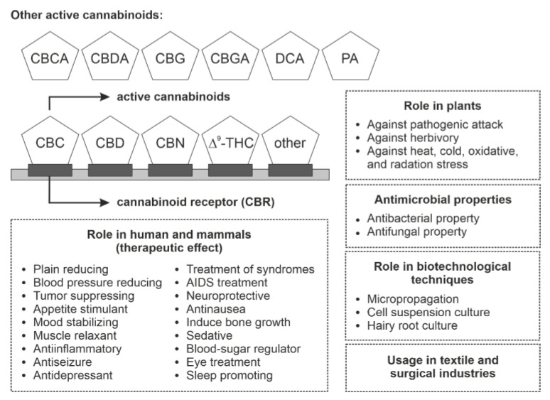 PMC8309193 – plants-10-01307-f008