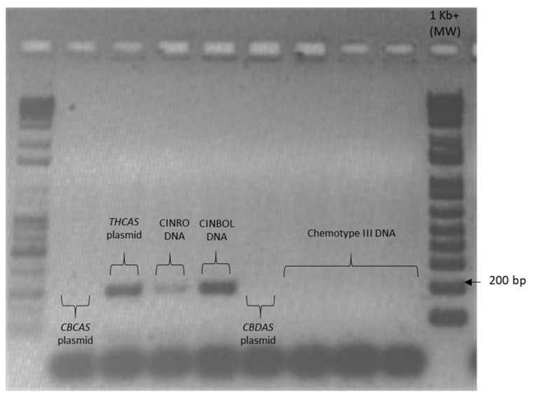 PMC8466818 – plants-10-01857-f0A2