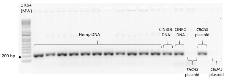 PMC8466818 – plants-10-01857-f0A3