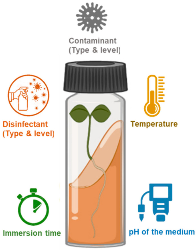 PMC8619272 – plants-10-02397-f001
