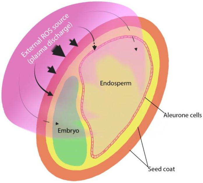 PMC9003542 – plants-11-00856-f001