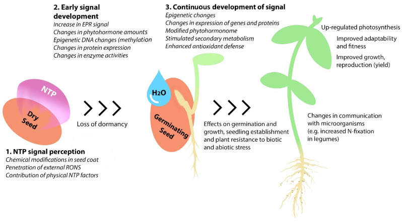 PMC9003542 – plants-11-00856-f002