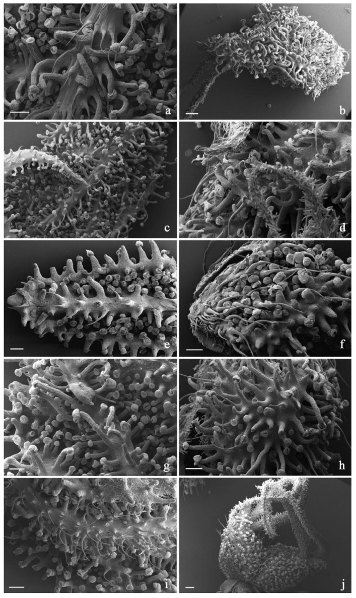 PMC9003298 – plants-11-00891-f008