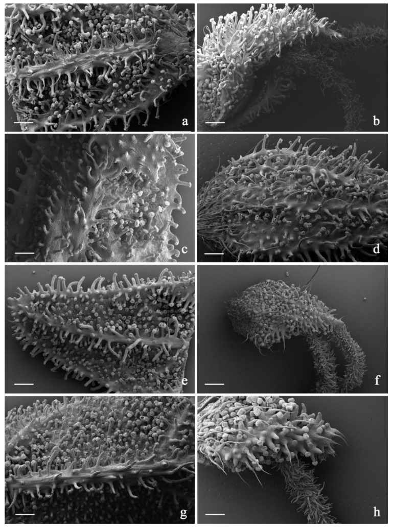PMC9003298 – plants-11-00891-f009