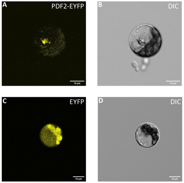 PMC9144208 – plants-11-01307-f009