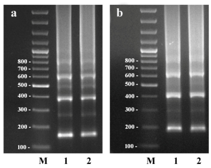 PMC9183113 – plants-11-01396-f002