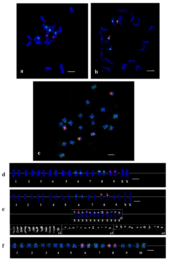 PMC9183113 – plants-11-01396-f003