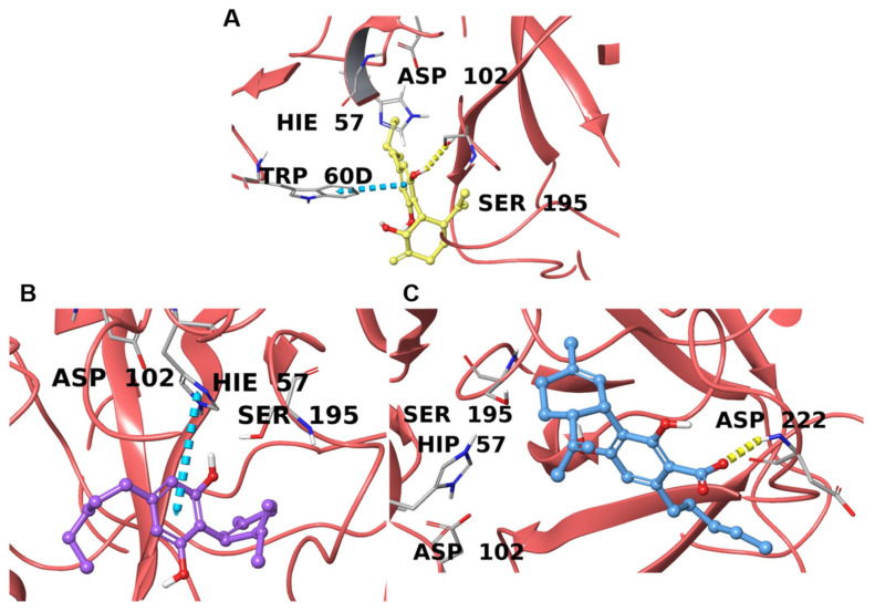 PMC9269227 – plants-11-01671-f003