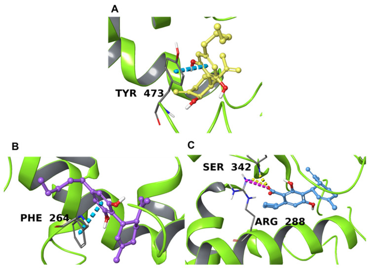 PMC9269227 – plants-11-01671-f004