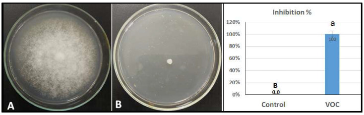 PMC9320409 – plants-11-01824-f005