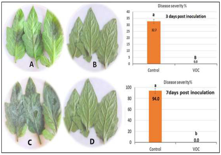 PMC9320409 – plants-11-01824-f006