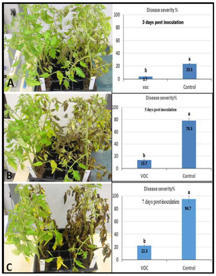 PMC9320409 – plants-11-01824-f007