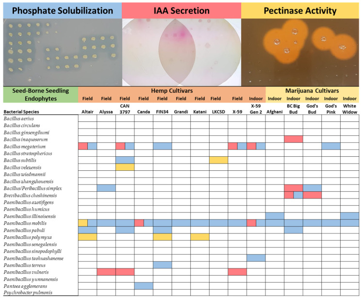 PMC9415172 – plants-11-02127-f003