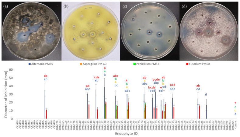 PMC9415172 – plants-11-02127-f005
