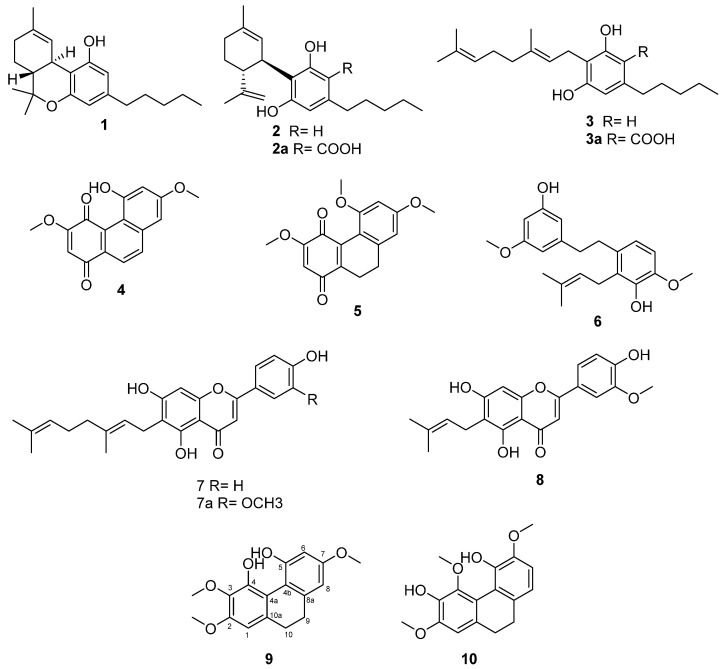 PMC9414986 – plants-11-02130-f001