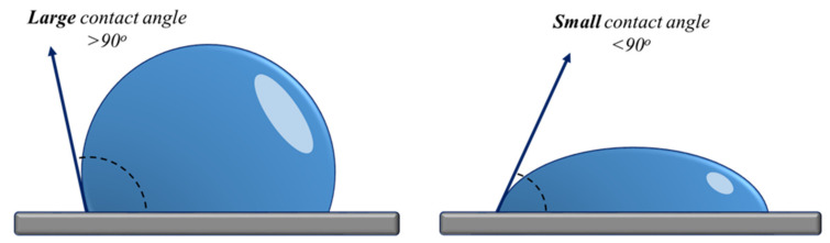 PMC9415020 – plants-11-02181-f004