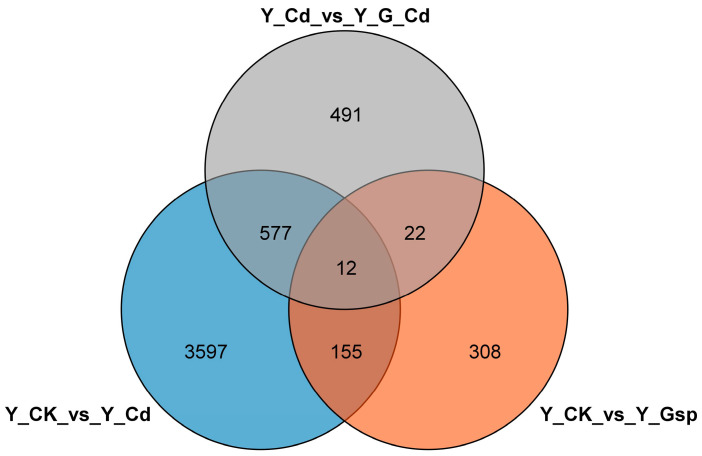PMC9504380 – plants-11-02364-f004