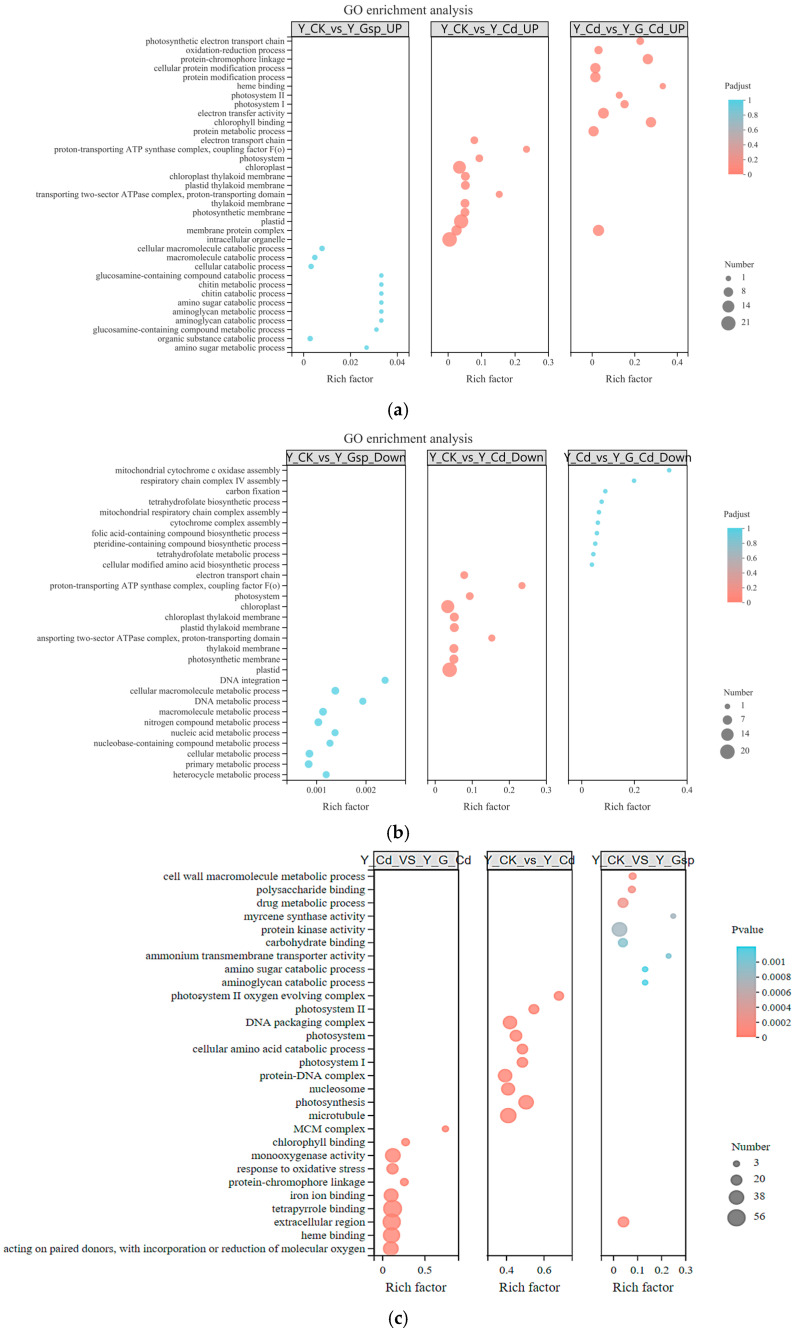 PMC9504380 – plants-11-02364-f005