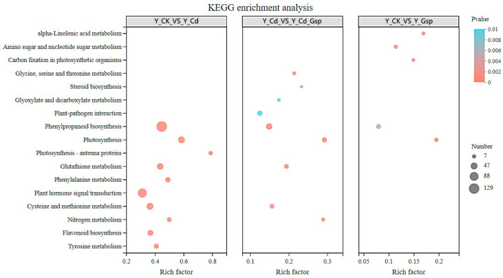 PMC9504380 – plants-11-02364-f006