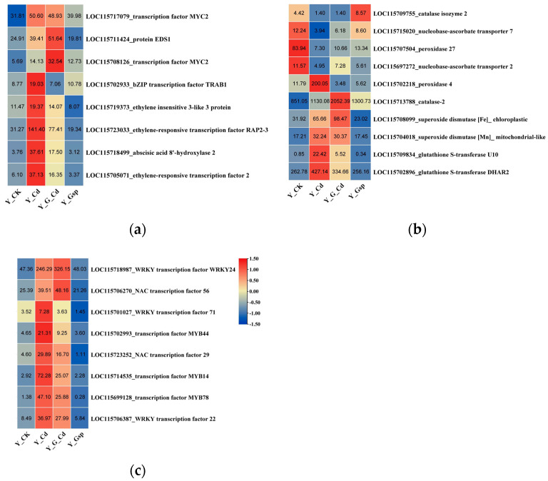 PMC9504380 – plants-11-02364-f007